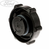 Tapa de montaje de bomba de dirección asistida original para Ford Mondeo Galaxy S-Max 1341300