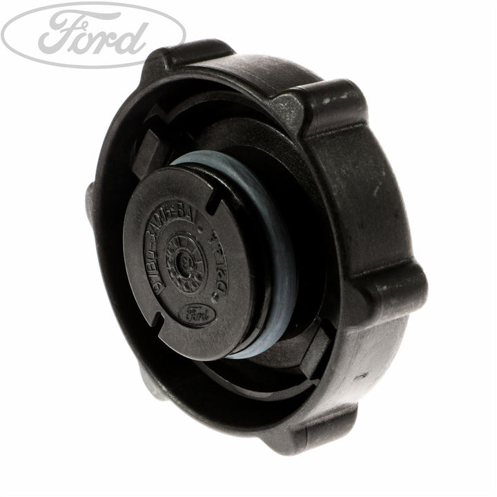 Tapa de montaje de bomba de dirección asistida original para Ford Mondeo Galaxy S-Max 1341300