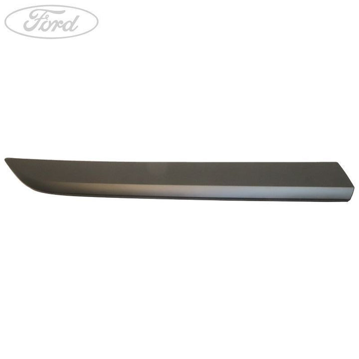 Ford Transit/Tourneo Custom Moldura Lateral Cuerpo Puerta Gris Tempestad 2210768