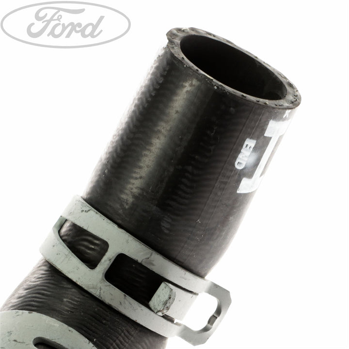 Manguito de bomba de agua original Ford 4801001