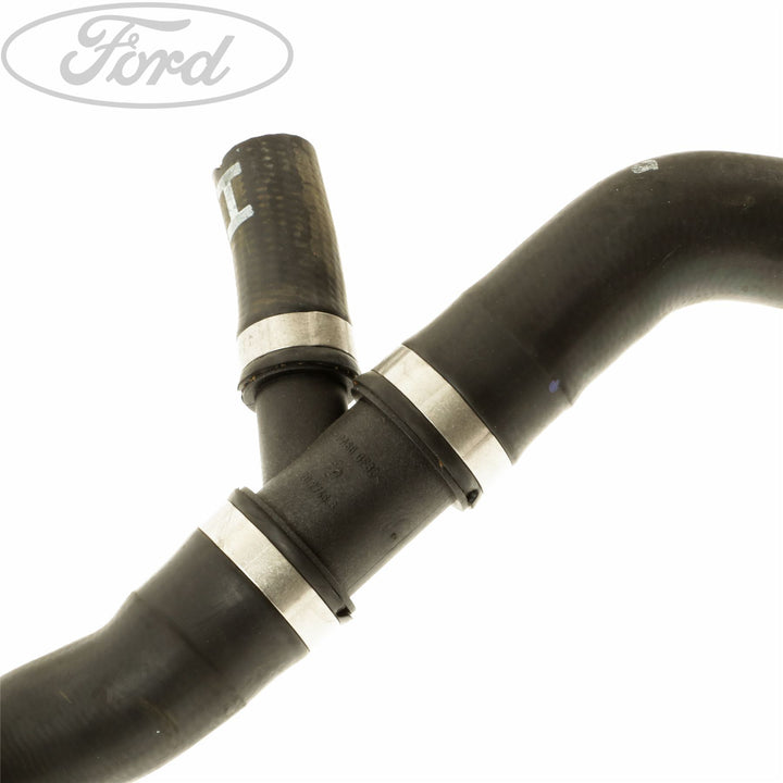 Manguito de radiador original Ford 1375346