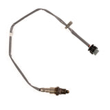 Sensor de oxígeno en gases de escape Focus 1.0 EcoBoost 2018+