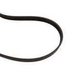 Correa trapezoidal transmisión de alternador 1.5 EcoBoost 2014-2020