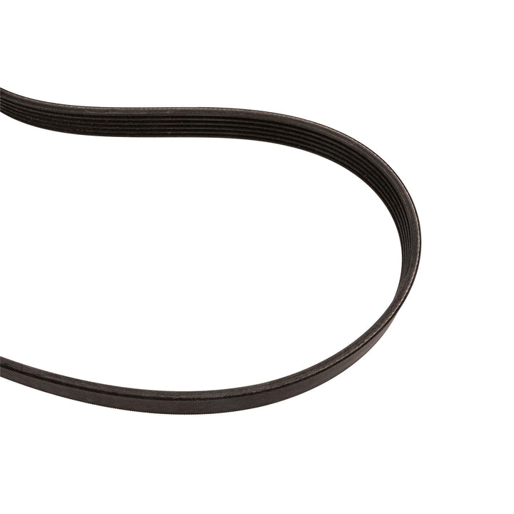 Correa trapezoidal transmisión de alternador 1.5 EcoBoost 2014-2020