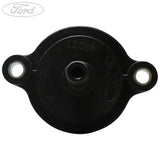 Termostato original Ford 2152998