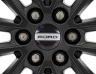 Embellecedor de rueda en color negro, con inscripción Ford.