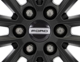 Embellecedor de rueda en color negro, con inscripción Ford.