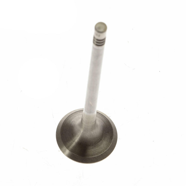 Válvula de escape de motor original Ford 1685845
