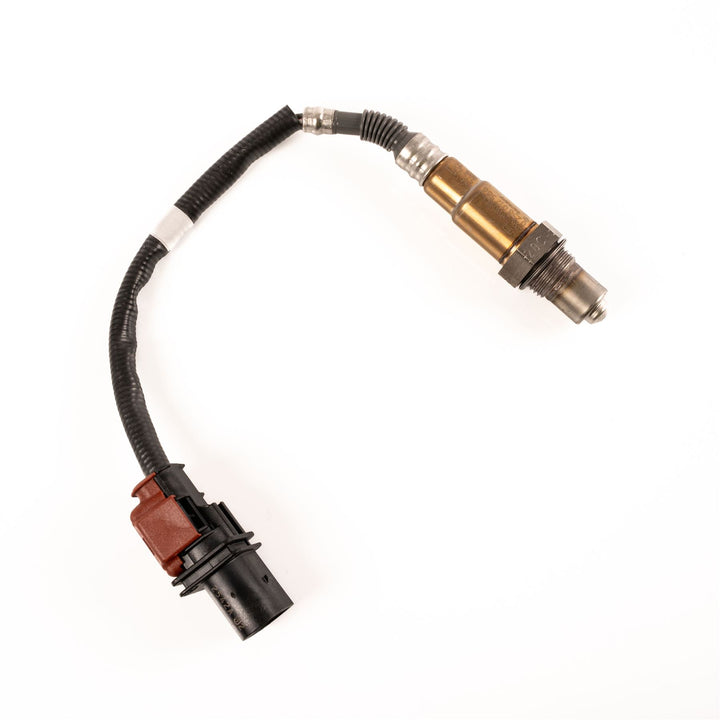 Sensor de oxígeno Hego Focus 1.0 EcoBoost 2018+