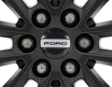 Embellecedor de rueda en color negro, con inscripción Ford.