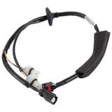 Portalámparas y cableado para luz originales Ford 1792074