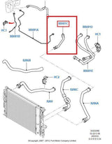 Tubo/manguito de refrigeración del radiador original para Ford Mondeo Galaxy S-Max 1405742
