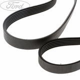 Kit de correas de transmisión originales para Ford Fiesta Fusion 1829195