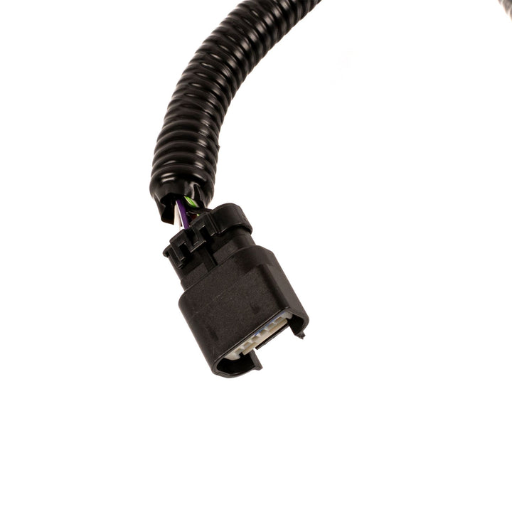 Cableado cámara visión fija de portón trasero Ranger TKE 2018-2019