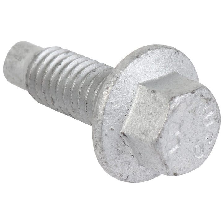Focus Tornillo