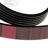 Kit de correa de transmisión dentada en V original para Ford Fiesta 1.25 1.4 1.6 B-Max con nervaduras en V 1809955