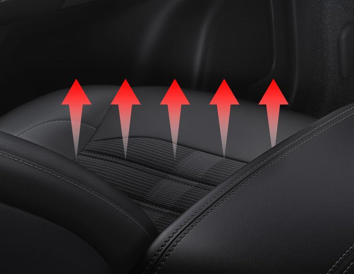 Xvision (SCC)* Kit de calefactado de asientos para un asiento.