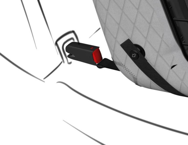 4pets®* Sistema de sujeción ISOFIX Caree para jaulas de transporte Caree con mascotas de hasta 8 kg