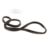 Ford Fiesta 2008-2019 Burlete Puerta Delantera Negra 1747419