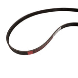 Correa trapezoidal transmisión de alternador 1.5 EcoBoost 2014-2020