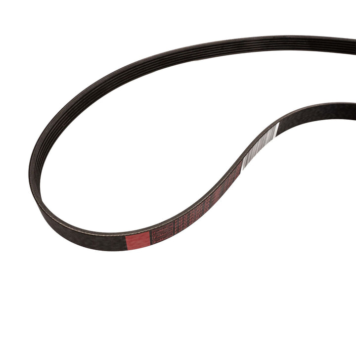 Correa trapezoidal transmisión de alternador 1.5 EcoBoost 2014-2020