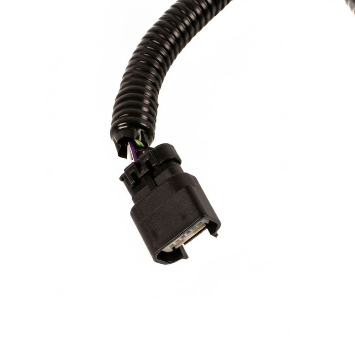 Cableado cámara visión fija de portón trasero Ranger TKE 2018-2019