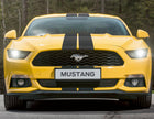 Mustang herpa print* Franjas de competición para la línea superior del vehículo
