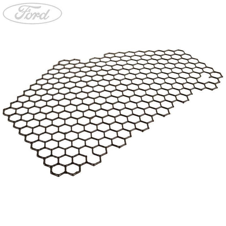 Rejilla original Ford 2004859