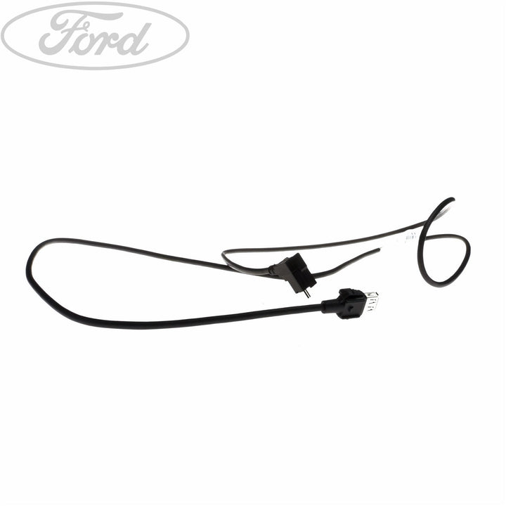 Fiesta 2012-2019 Conjunto de Cable USB LI Cable