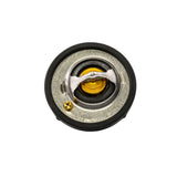 Termostato del refrigerante del motor original Ford 1712228
