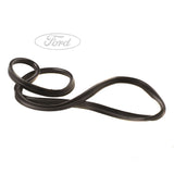 Ford Fiesta 2008-2019 Burlete Puerta Delantera Negra 1747419