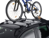 Thule®* Portabicicletas para techo Expert 298.