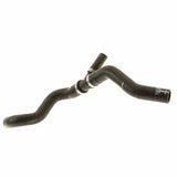 Manguito de radiador original Ford 1375346