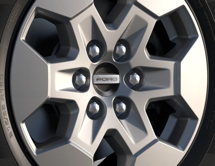 Embellecedor de rueda en color negro, con inscripción Ford.