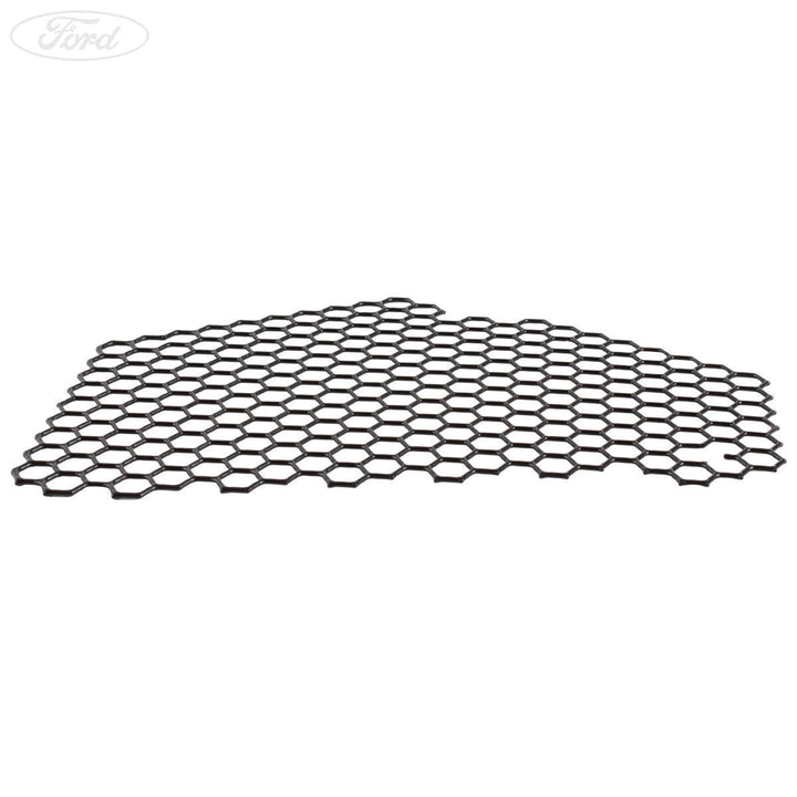 Rejilla original Ford 2004859