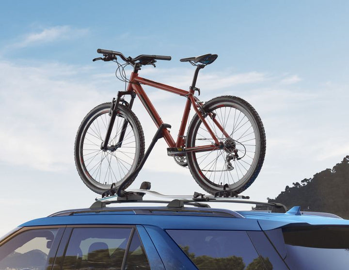 Thule®* Portabicicletas para techo Expert 298.