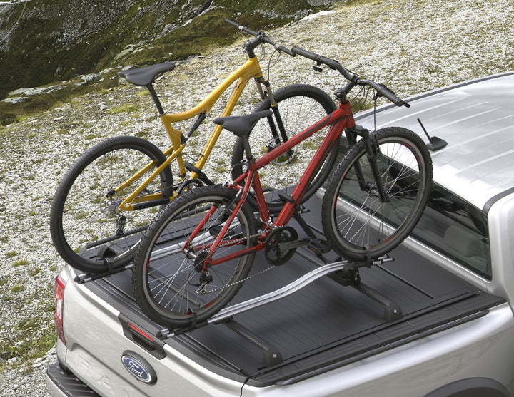 Thule®* Portabicicletas para techo Expert 298.