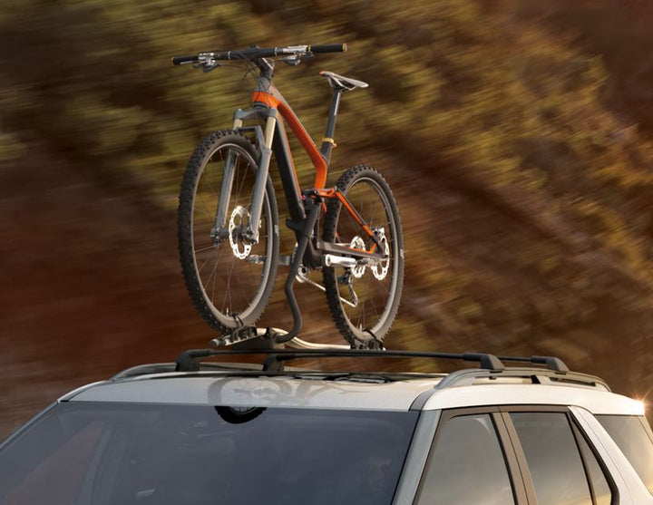 Thule®* Portabicicletas para techo Expert 298.