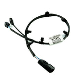 Cableado de sistema antibloqueo trasero IZQ Focus 2018+