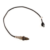 Sensor de oxígeno poscatalizador 1.0 EcoBoost 2017-2023