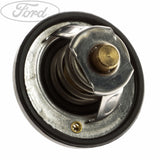 Fiesta Fusion Conjunto De Termostato 82 C