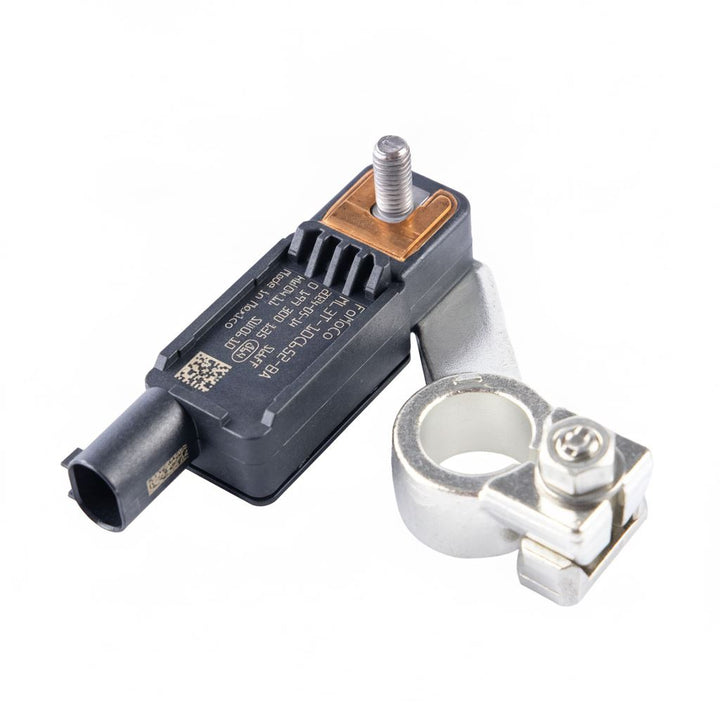 Cable de masa con enlace fusible Mustang/Ranger P703 2.3/5.0 2022+